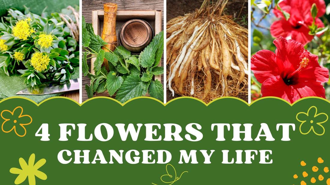 4 Flowers & Plants that Changed my Life