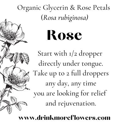 Organic Rose Glycerite Tincture Rosa rubiginosa